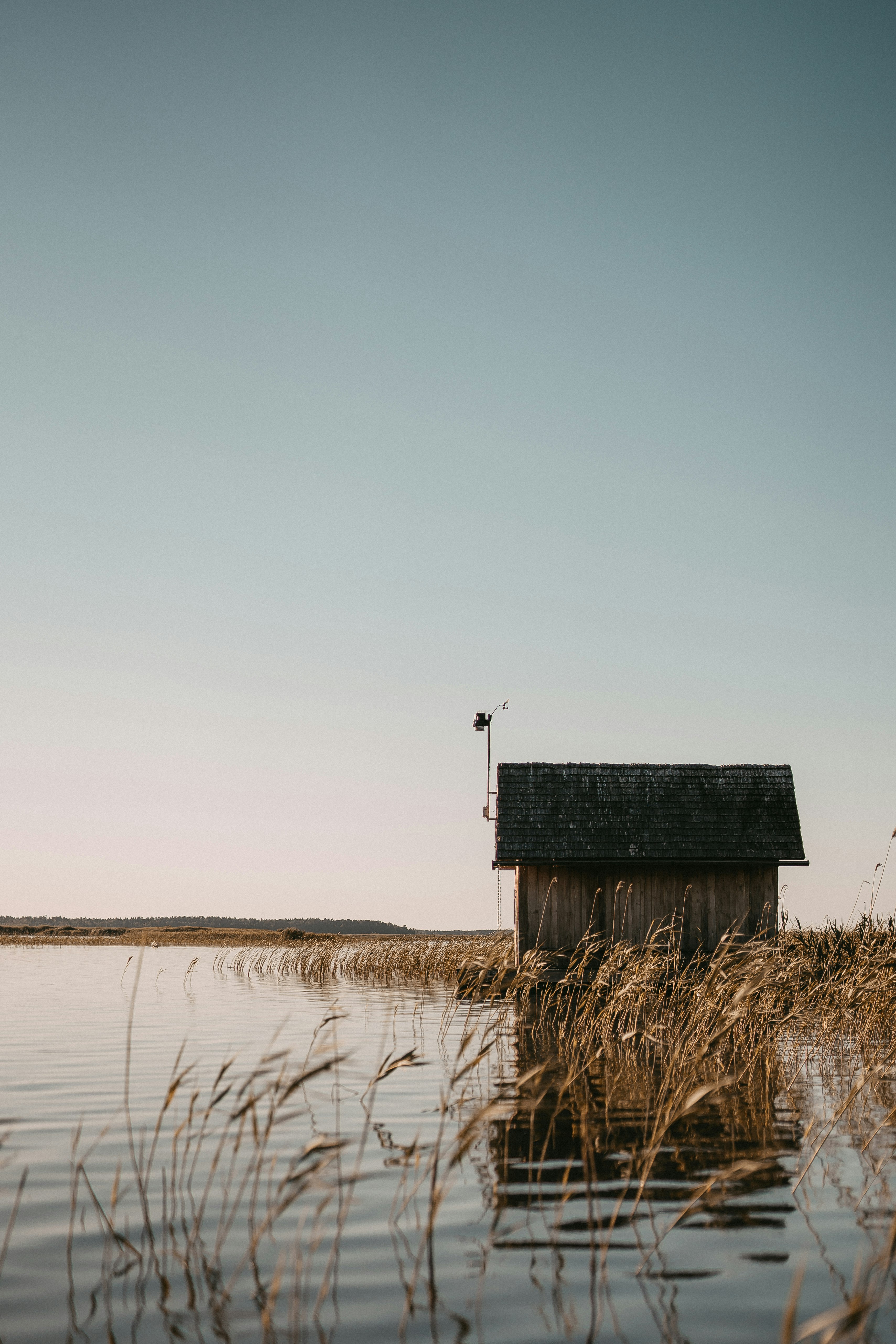 brown wooden house on body of water